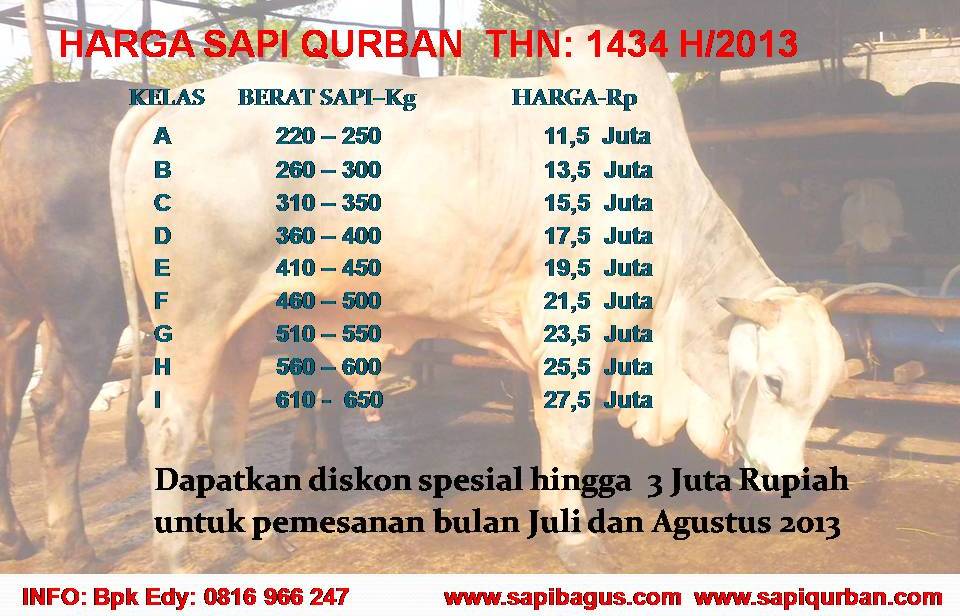 Harga Promo Sapi Qurban Murah 1434 H/2013