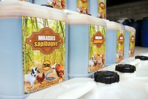 mollases-7