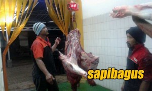 RPH-Daging-2016