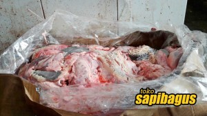 foto-daging-sapi-impor