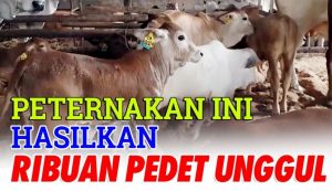 PT KARYANA GITA UTAMA