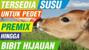 manfaat premix vitamin