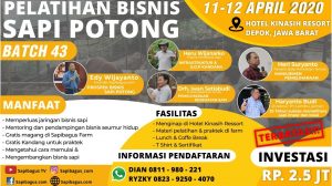 Pelatihan Bisnis Sapi Potong dan Sapi Qurban Angkatan 43