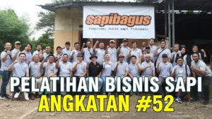 Sapibagus Academy
