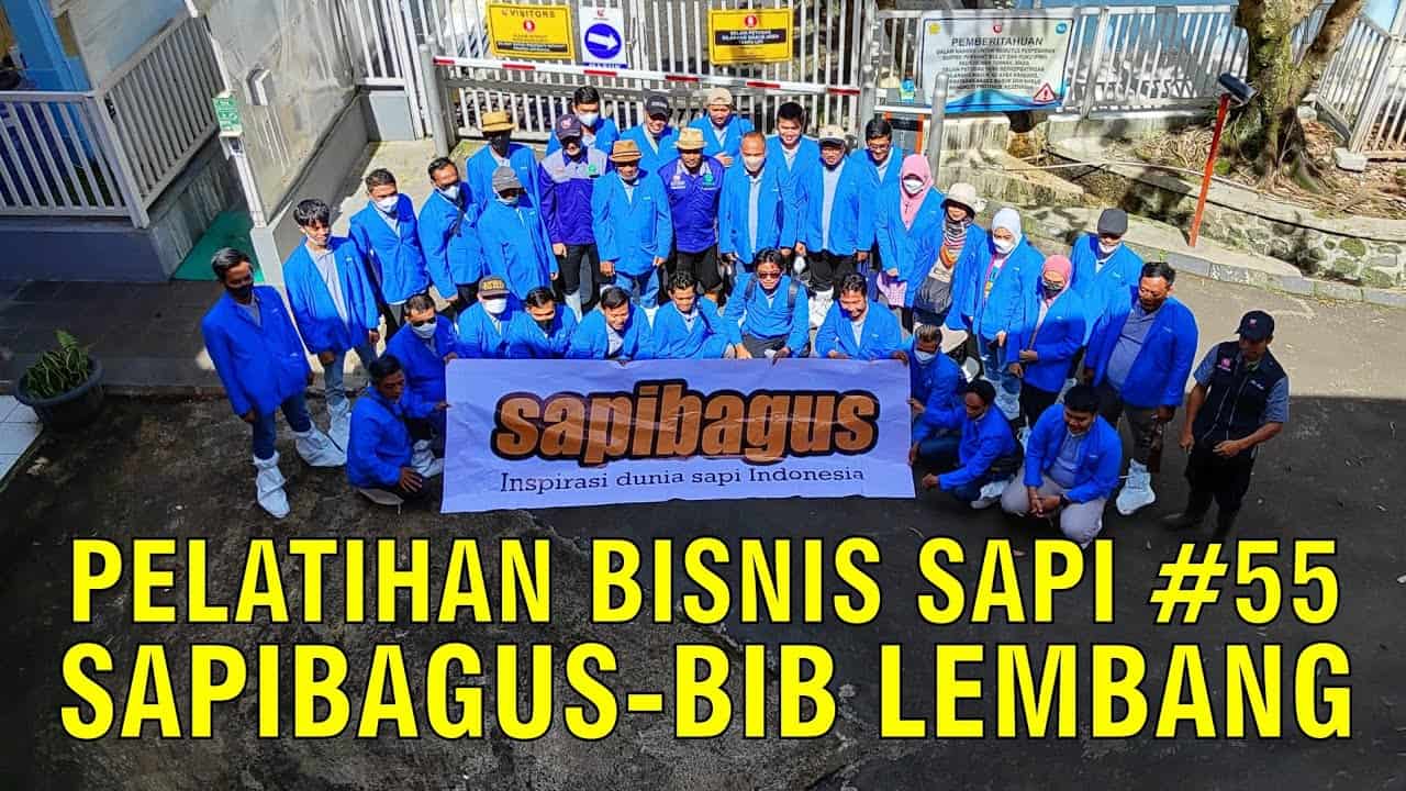 Sapibagus Academy