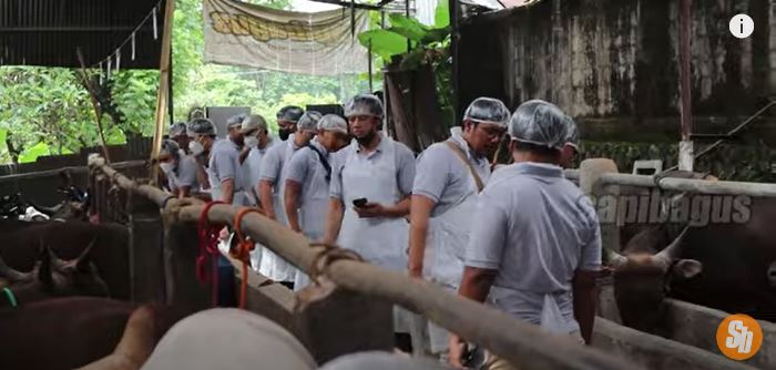 Praktek Di Kandang Sapibagus Pelatihan Angkatan 52