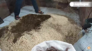 Complete feed untuk pakan sapi