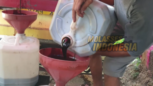 molases untuk kecap