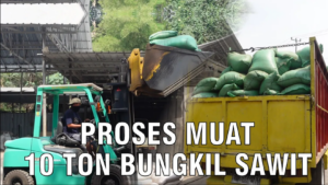 Proses muat bungkil sawit