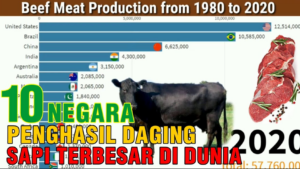negara penghasil sapi terbesar