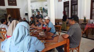 pelatihan bisnis sapi sapibagus