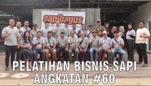 Pelatihan Bisnis Sapi Angkatan 60