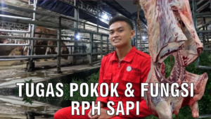 tugas pokok RPH 2