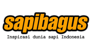 Sapibagus