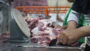 jual paket daging sapi lebaran 2024