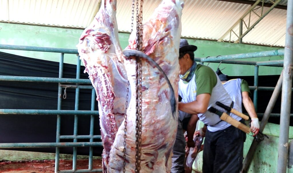 pemotongan hewan kurban
