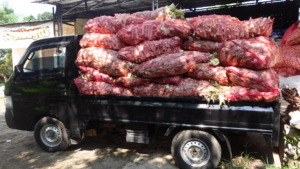 kulit jagung