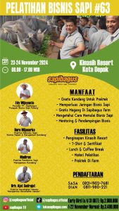 Pelatihan bisnis sapi angkatan 63