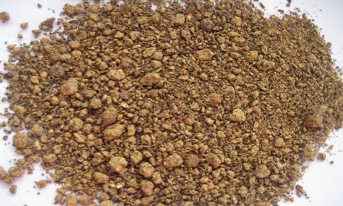 rapeseed meal bahan pakan