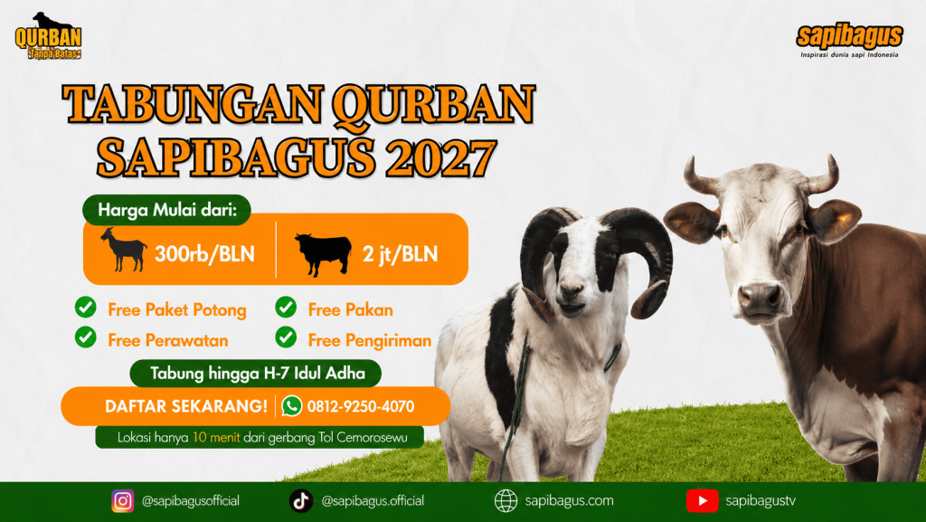 tabungan qurban landscape